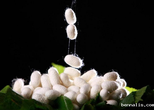 天然面料有哪些？天然面料的优缺点？