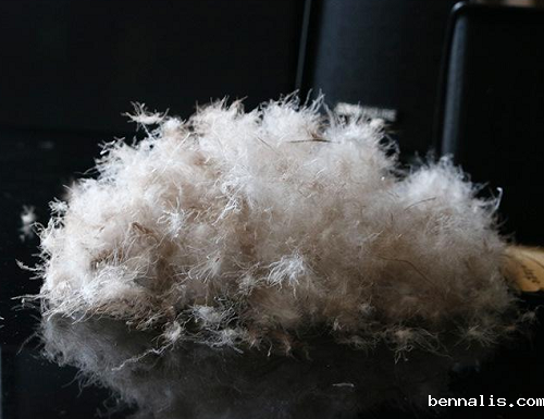 灰鸭绒的优缺点？灰鸭绒衣服怎么洗？