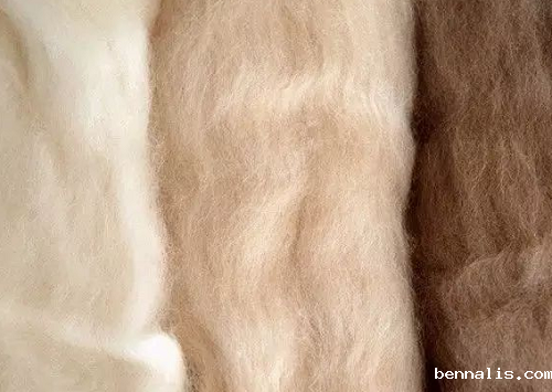 什么是羊绒？羊绒<a href=//www.bennalis.com/ target='_blank'>面料</a>的优缺点？
