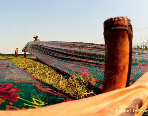 莨绸和香云纱的区别