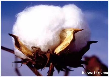 面料支数代表什么意思？40s跟60s的哪个好