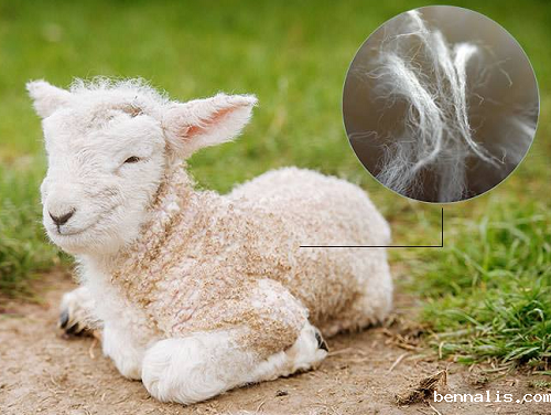 纯天然面料有哪些