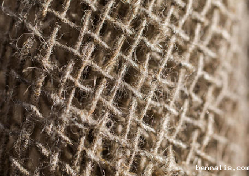 苎麻和亚麻面料的区别